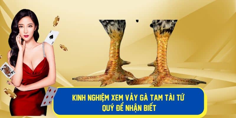 Kinh nghiệm xem vảy tam tài tứ quý