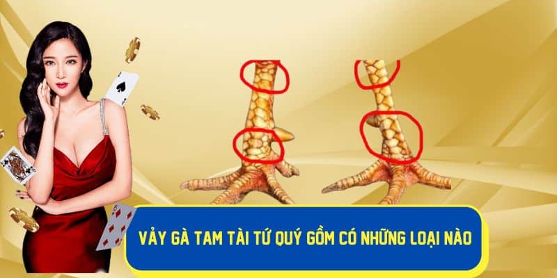 Những loại vảy gà tam tài tứ quý