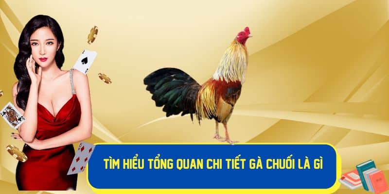 Tìm hiểu chi tiết về gà chuối là gì