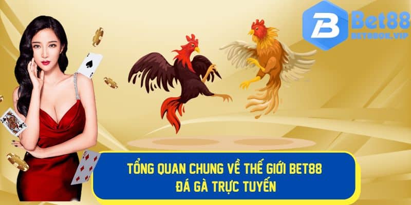 Tổng quan về thế giới đa gà trực tuyến hấp dẫn