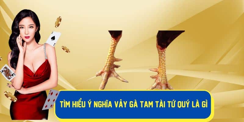 Ý nghĩa của vảy tam tài tứ quý