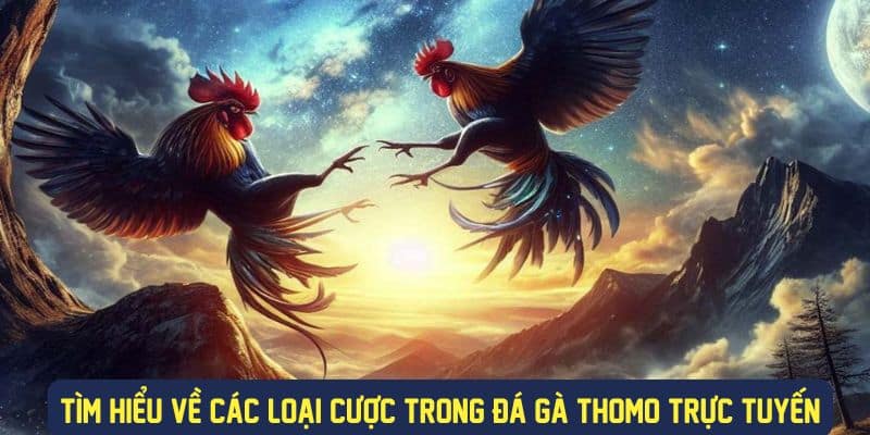 Các loại cược tại đá gà thomo