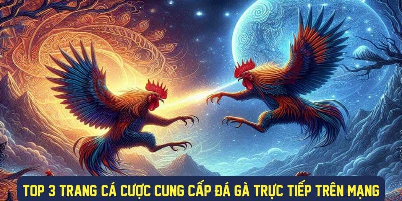 Các trang cá đá gà trực tuyến trên mạng hot