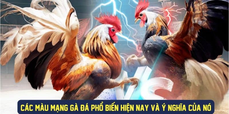 Chi tiết ý nghĩa mạng gà đá theo màu