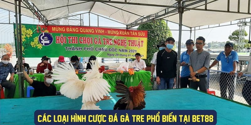 Đa dạng loại cược đá gà tre phổ biến