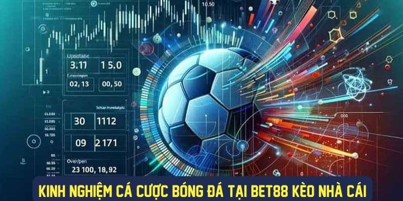 Kinh nghiệm cược bóng đá hiệu quả tại nhà cái