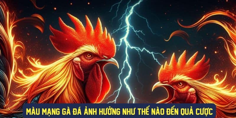 Màu mạng gà ảnh hưởng gì đến chiến đấu