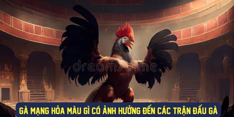 Màu sắc gà mạng hỏa ảnh hưởng đến trận đấu