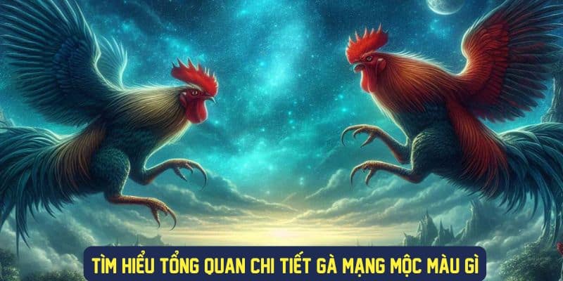 Những màu sắc cơ bản gà mạng mộc