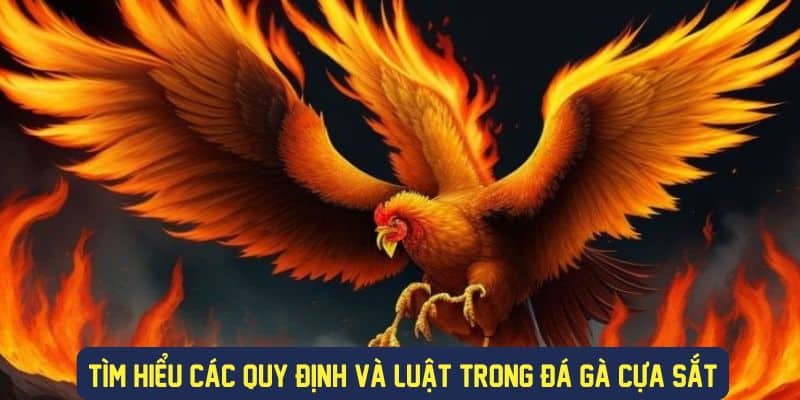 Quy định và luật trong đá gà cựa sắt