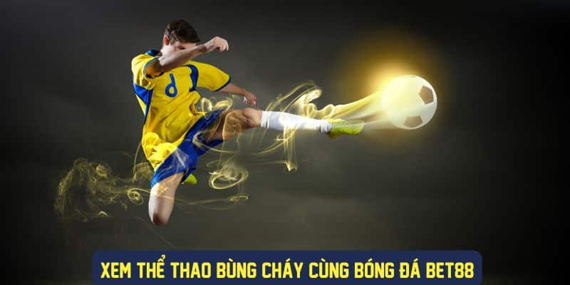 Sân chơi thể thao đẳng cấp tại Bet88