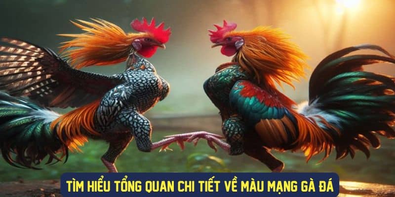 Tìm hiểu khái niệm màu mạng gà đá