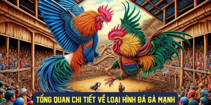 Tổng quan về loại hình đá gà mạnh