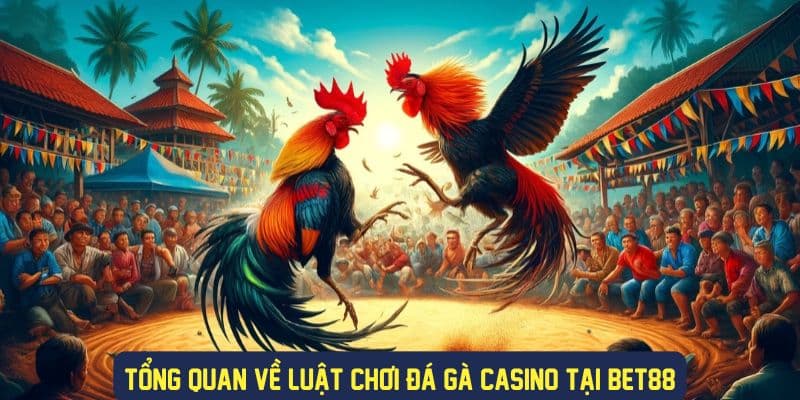 Tổng quan về luật chơi đá gà casino Bet88