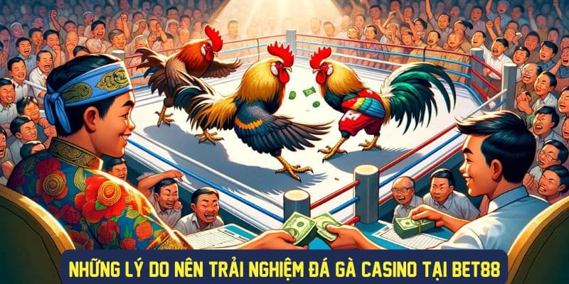 Trải nghiệm chơi đá gà casino hấp dẫn