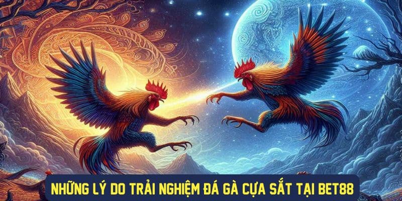 Trải nghiệm đá gà cựa sắt hấp dẫn tại cổng game