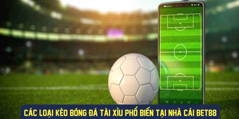 Những loại kèo cược bóng đá tài xỉu phổ biến