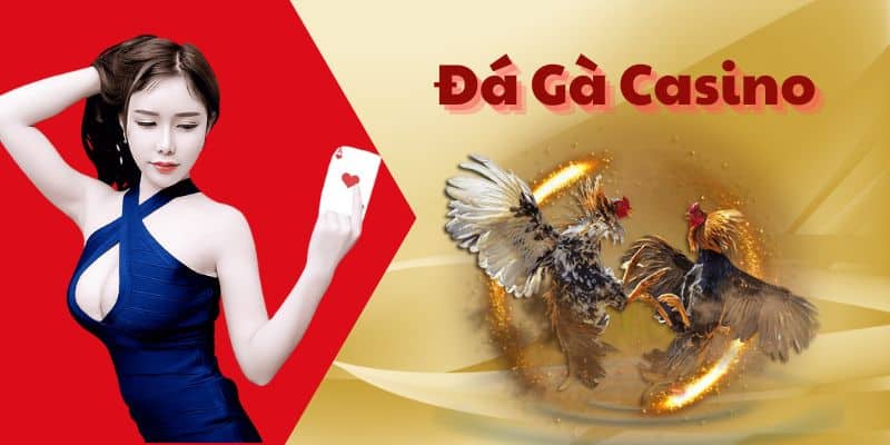 Trải Nghiệm Chơi Đá Gà Casino Cực Hot Tại Cổng Game Bet88