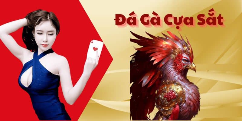 Trải Nghiệm Loại Hình Đá Gà Cựa Sắt Cực Hấp Dẫn Tại Bet88