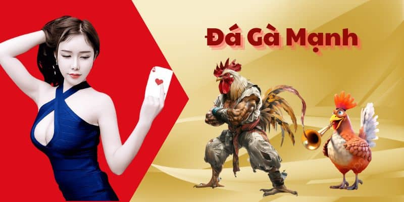 Trải Nghiệm Cảm Giác Đá Gà Mạnh Cực Hấp Dẫn Tại Bet88