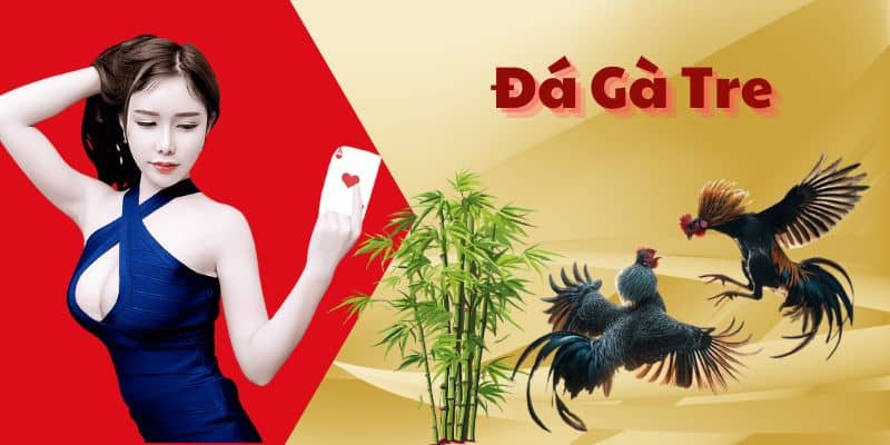 Trải Nghiệm Mô Hình Đá Gà Tre Cực Hấp Dẫn Tại Nhà Cái Bet88