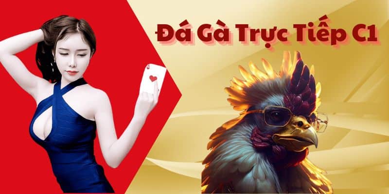 Khám Phá Chi Tiết Về Loại Hình Đá Gà Trực Tiếp C1 Cực Hot