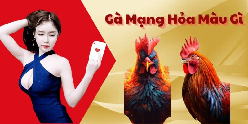 Gà Mạng Hỏa Màu Gì - Những Ý Nghĩa Đằng Sau Gà Mạng Hỏa