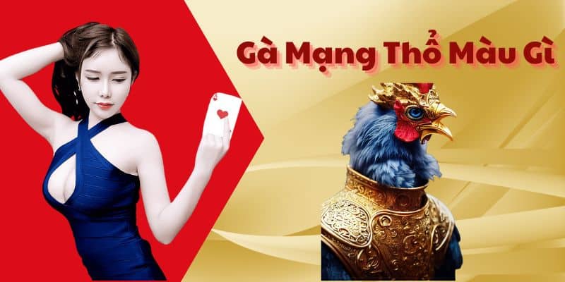 Gà Mạng Thổ Màu Gì - Yếu Tố Màu Sắc Gà Đá Trong Phong Thuỷ