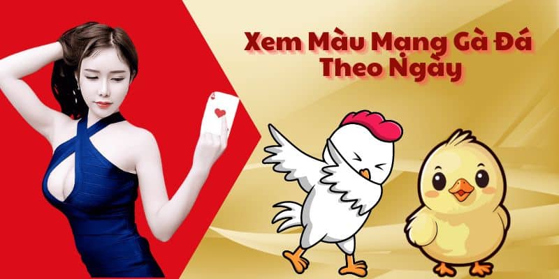 Bí Quyết Xem Màu Mạng Gà Đá Theo Ngày - Cách Xem Màu Gà Đá