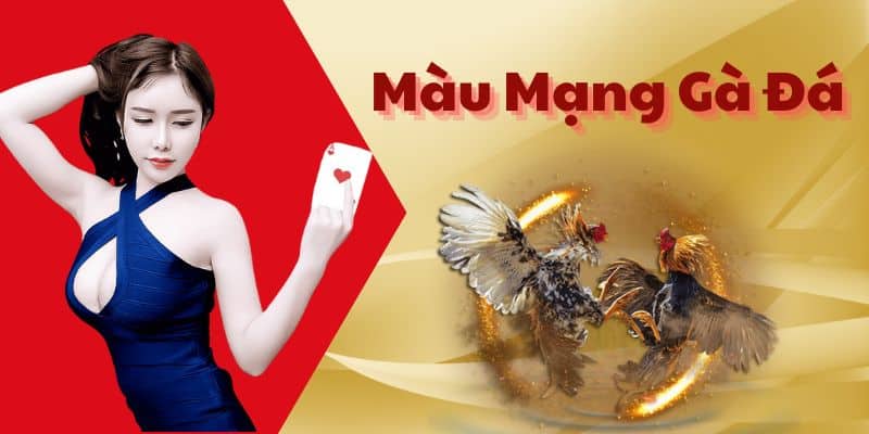 Cùng Tìm Hiểu Màu Mạng Gà Đá Là Gì - Cách Xem Màu Mạng Gà Đá