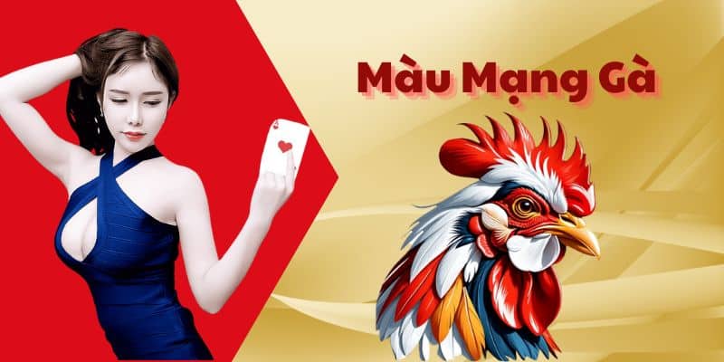 Màu Mạng Gà - Ý Nghĩa Và Tầm Quan Trọng Trong Phong Thủy